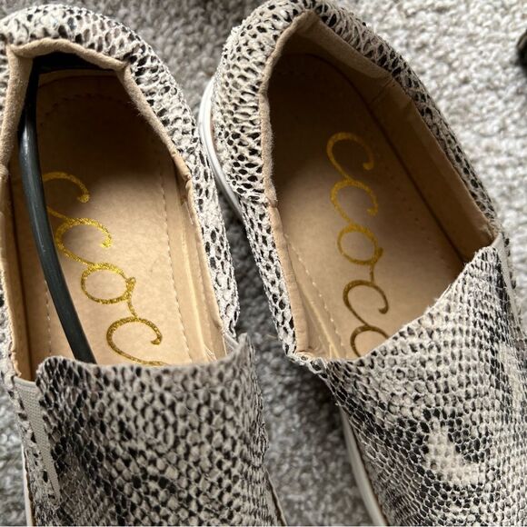 New with box | Ccocci Dream shoe - Picture 3 of 6